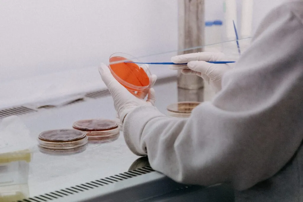 A scientist's gloved hand working with petri dishes in a laboratory.